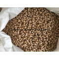 New Crop Chickpeas Kabuli Grade